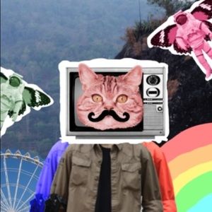 Meet your Posher, Evan